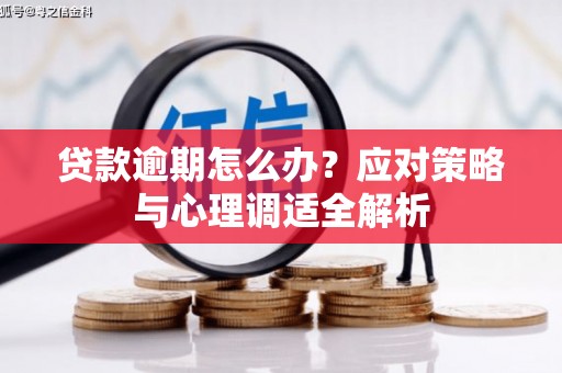 龙湖贷款逾期怎么办？应对策略与心理调适全解析