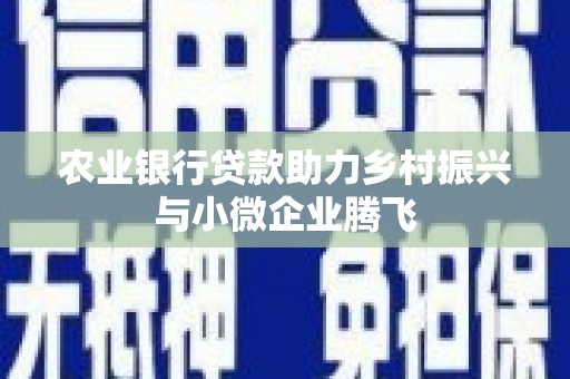 龙湖农业银行贷款助力乡村振兴与小微企业腾飞