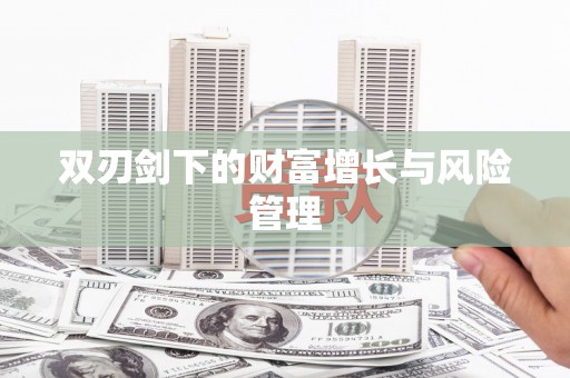 龙湖双刃剑下的财富增长与风险管理