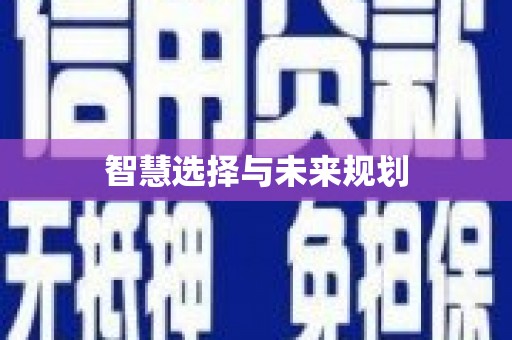 龙湖智慧选择与未来规划