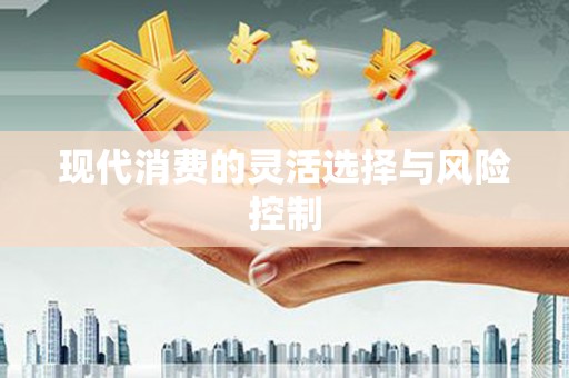 龙湖现代消费的灵活选择与风险控制
