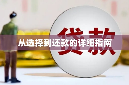 龙湖从选择到还款的详细指南