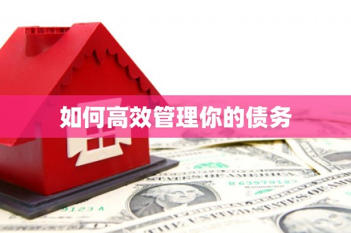 龙湖如何高效管理你的债务