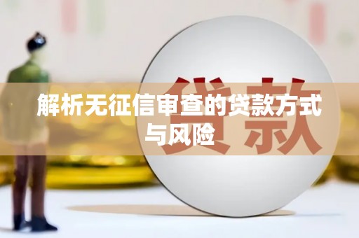 龙湖解析无征信审查的贷款方式与风险
