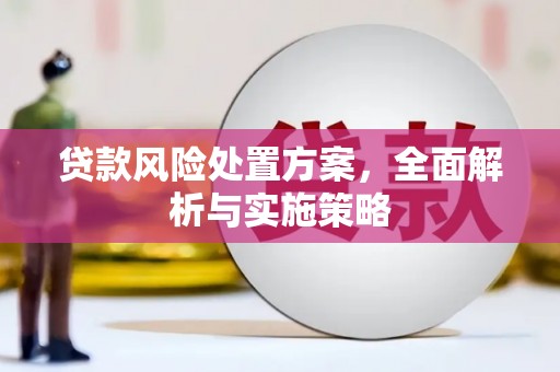 龙湖贷款风险处置方案，全面解析与实施策略