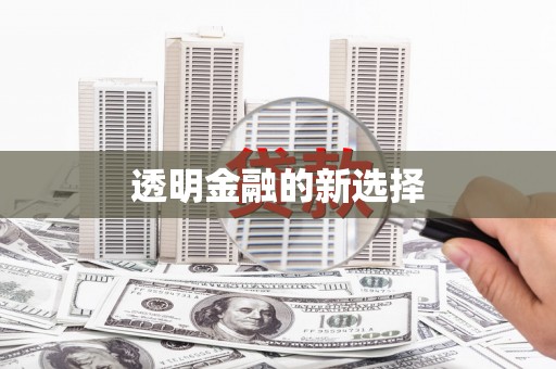 龙湖透明金融的新选择