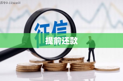 龙湖提前还款
