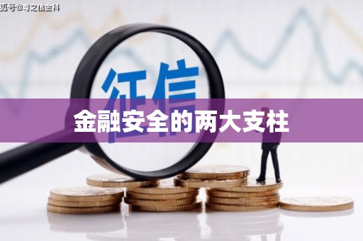 龙湖金融安全的两大支柱