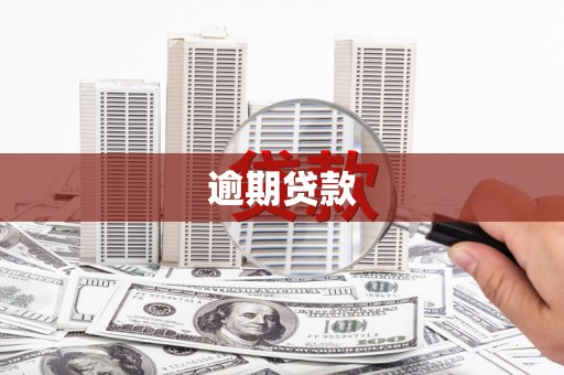 龙湖逾期贷款