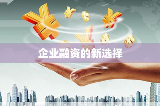 龙湖企业融资的新选择