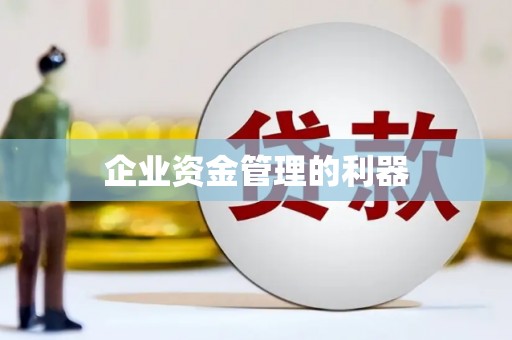 龙湖企业资金管理的利器