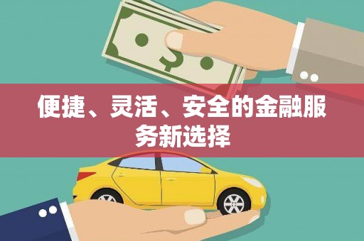 龙湖便捷、灵活、安全的金融服务新选择