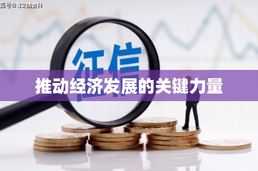 龙湖推动经济发展的关键力量