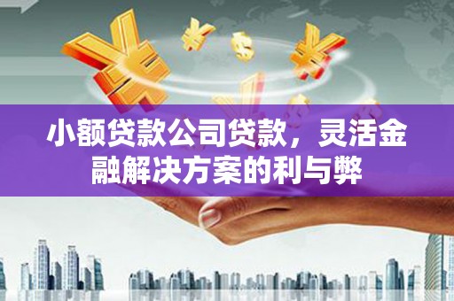 龙湖小额贷款公司贷款，灵活金融解决方案的利与弊