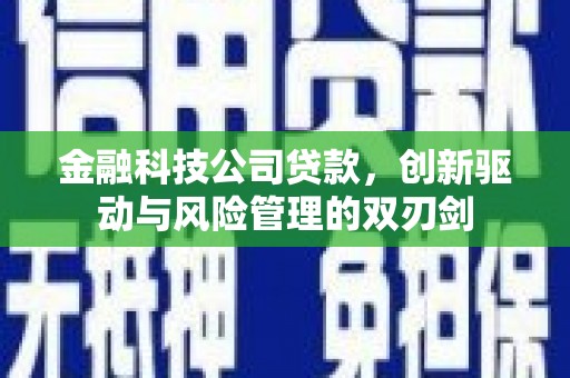 龙湖金融科技公司贷款，创新驱动与风险管理的双刃剑