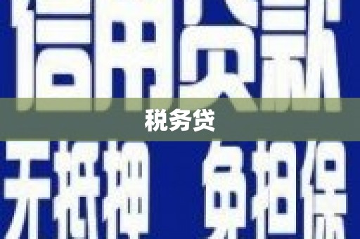 龙湖税务贷